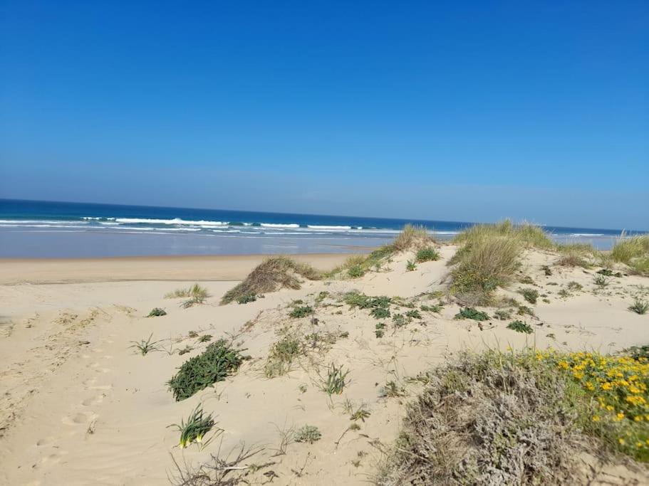 Apartamento Playa La Barrosa Chiclana de la Frontera Exteriér fotografie