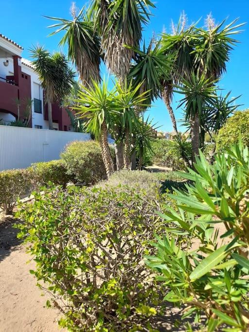 Apartamento Playa La Barrosa Chiclana de la Frontera Exteriér fotografie