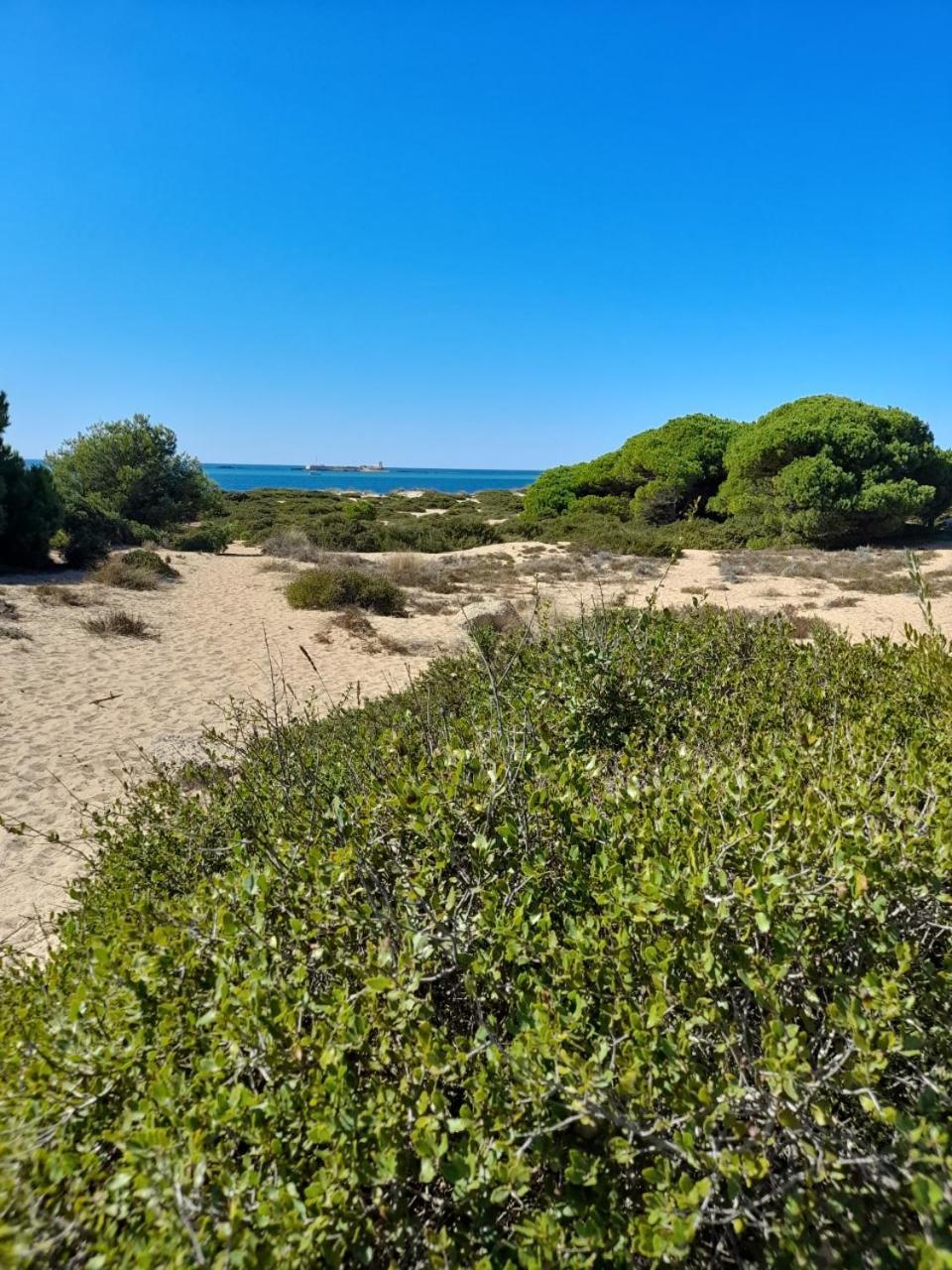 Apartamento Playa La Barrosa Chiclana de la Frontera Exteriér fotografie