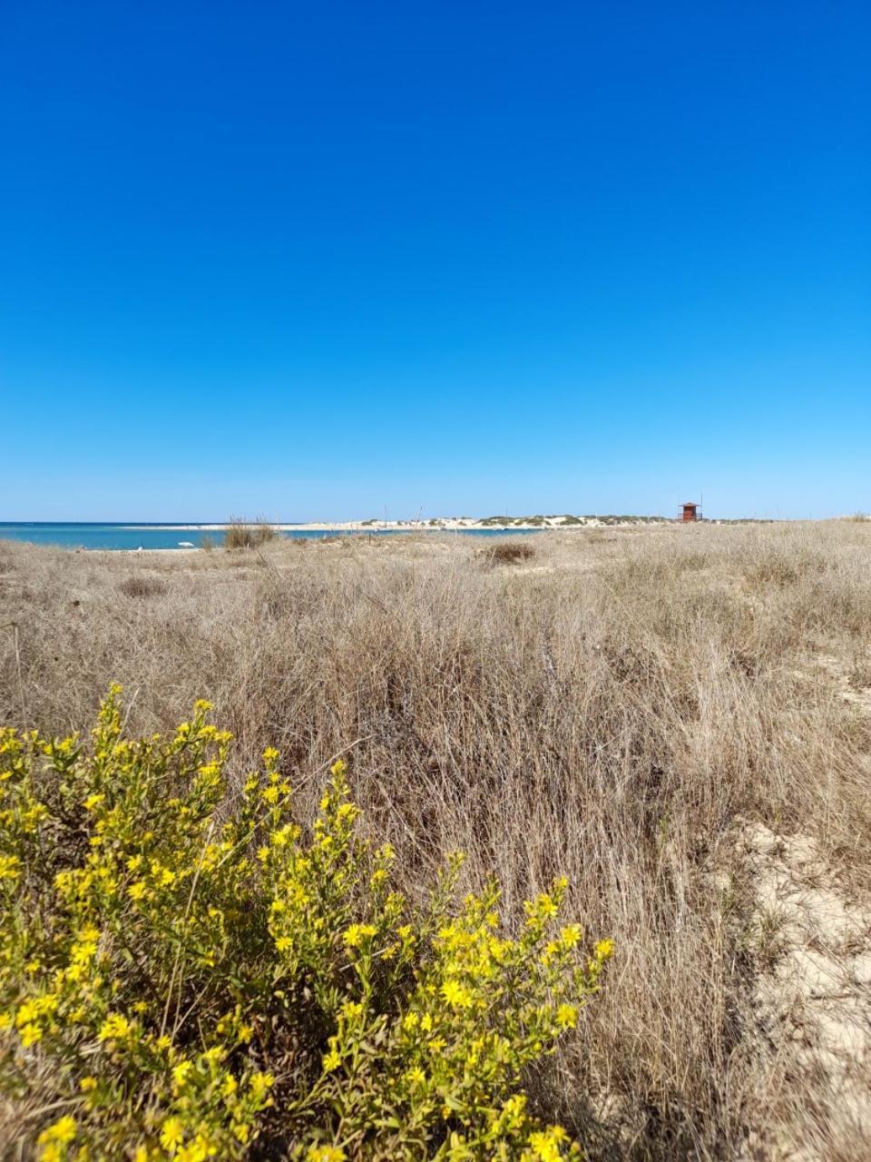 Apartamento Playa La Barrosa Chiclana de la Frontera Exteriér fotografie