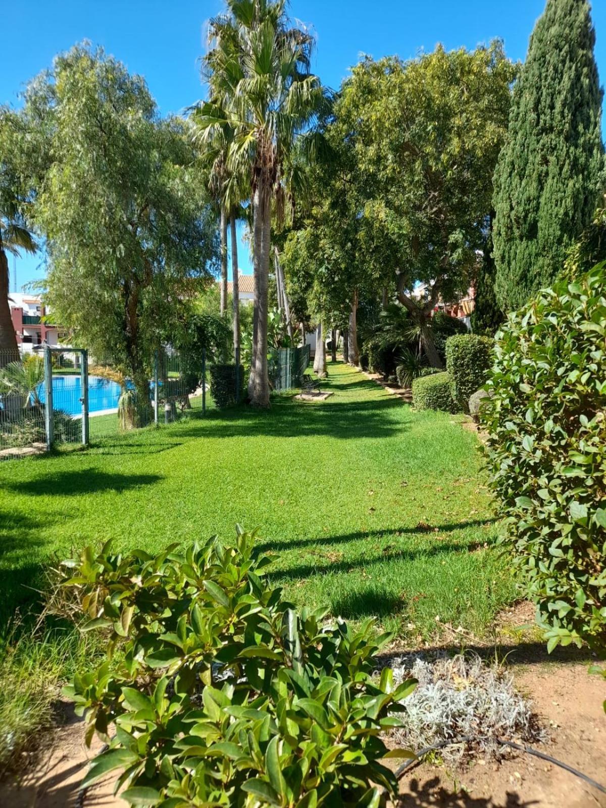 Apartamento Playa La Barrosa Chiclana de la Frontera Exteriér fotografie